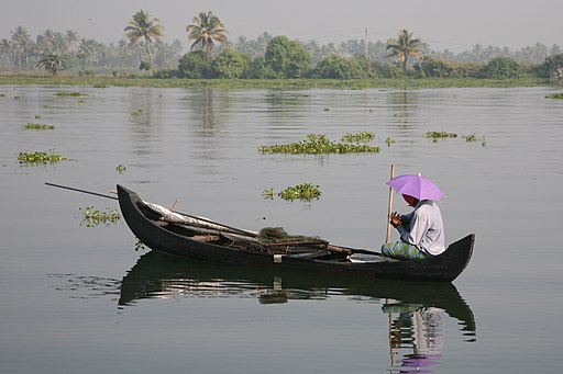 A man on a boat in a backwater, Coconut trees and bushes can be seen at the background. THe man wears a lavender coloured umbrella-hat.