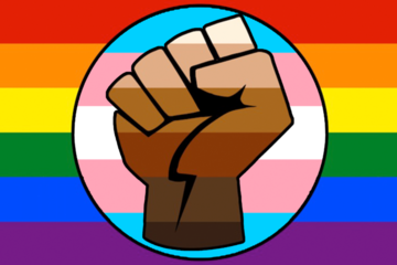 LGBTQ, trans and Black Life Matters intersectional flag. A raised fist striated in multiple skin shades is at the center of a circle in pink, white, and blue, striations, trans pride colors. The circle is at the center of a queer pride flag.